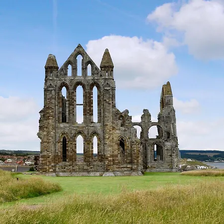 Hidden Treasure-uk48779